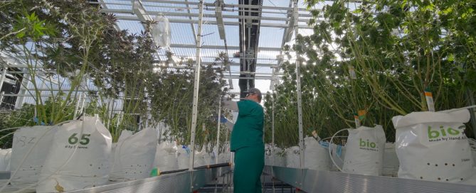 Grow Room Photo Clipping